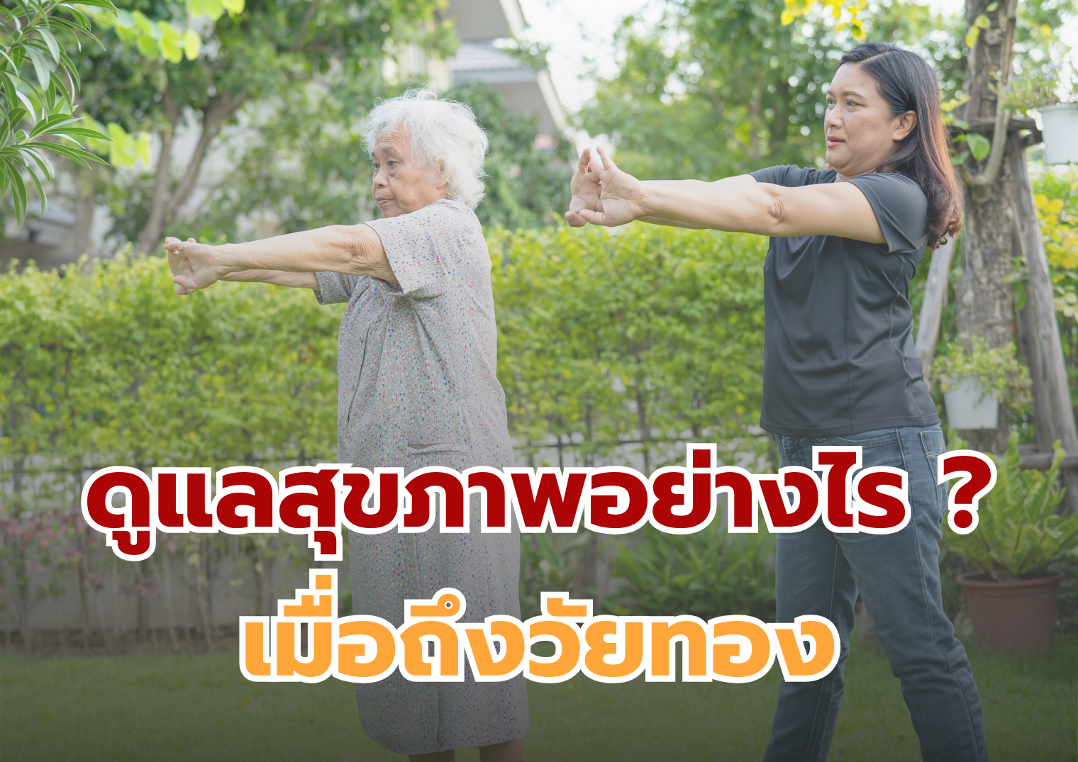 รูปภาพหน้าปก 19c569c7-4131-4ba1-8375-1706014227e5