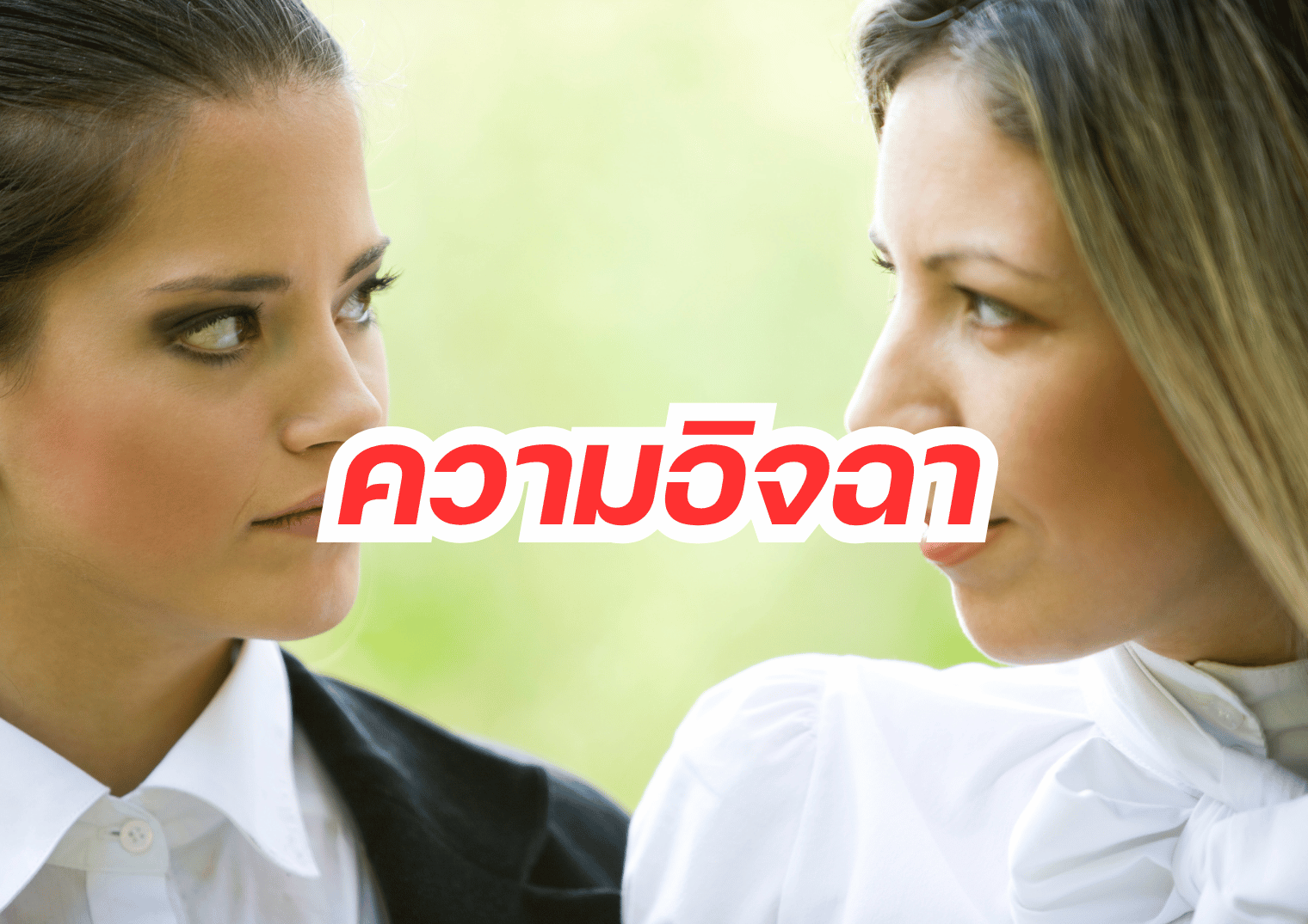 รูปภาพหน้าปก ca87ce7a-c36c-4638-9bd3-fbb0c699fce9