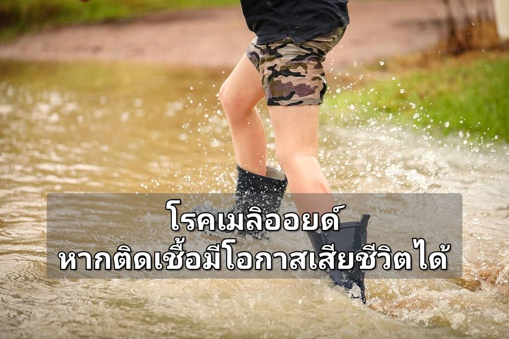 รูปภาพหน้าปก f1c8109e-9eea-48b6-a758-04d0f609b915