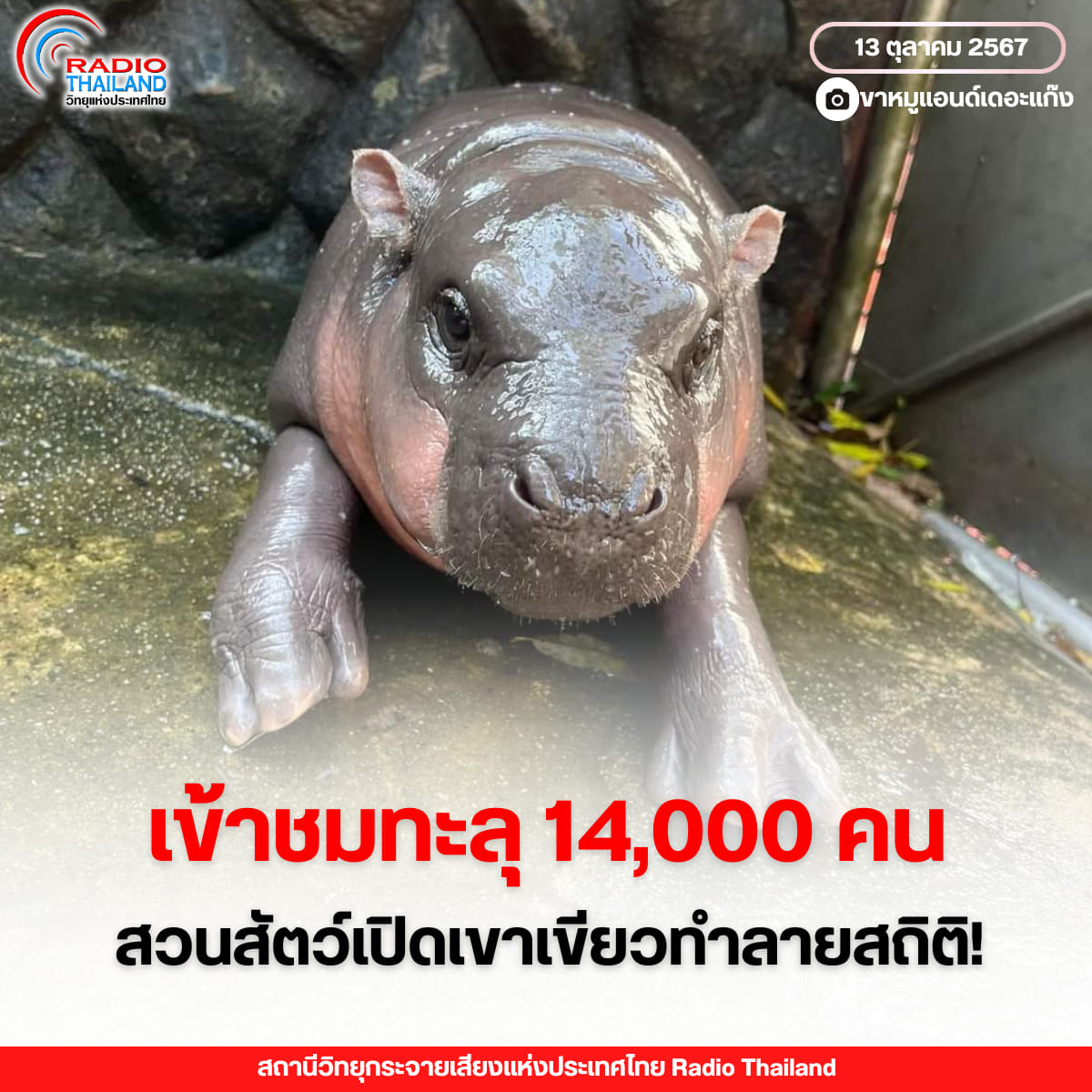 รูปภาพหน้าปก 74b840d8-8a5a-4faa-8a75-31ce56a1c74b