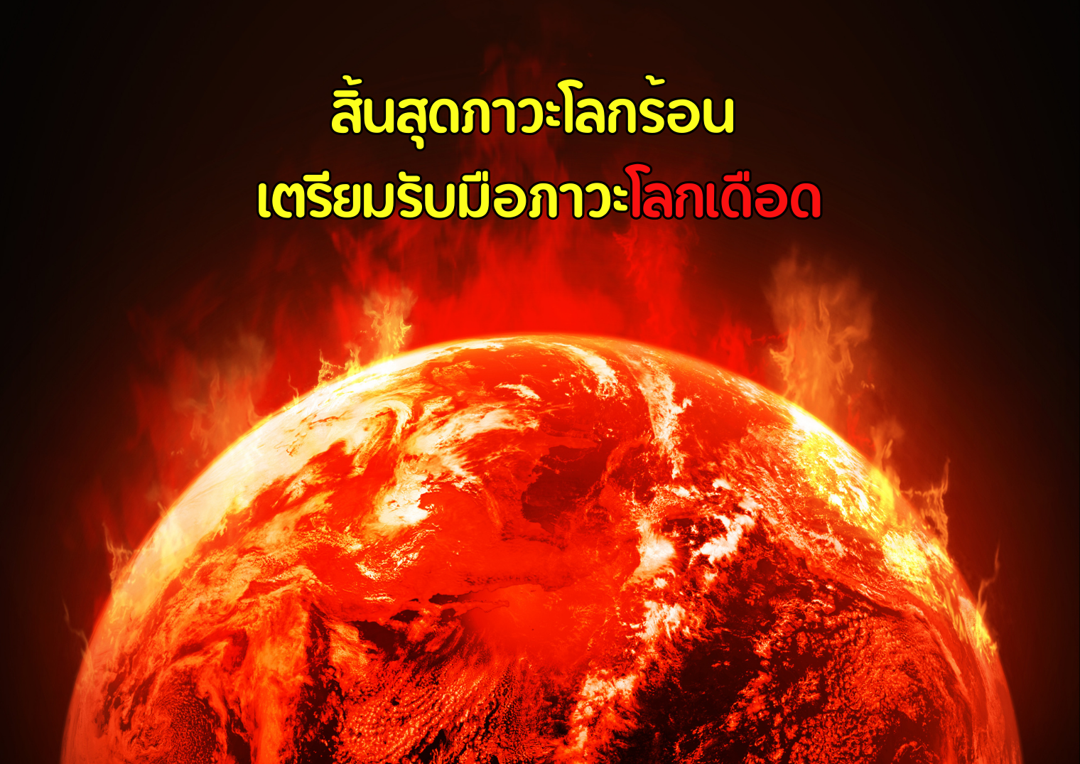 รูปภาพหน้าปก ade7ff72-7108-4b4f-870c-3ec2f757983b