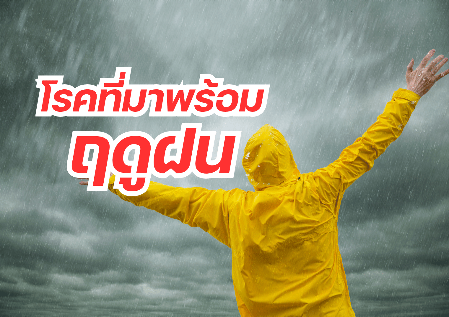 รูปภาพหน้าปก 6baa5cac-5a6b-4903-af9d-9f122fe95a44