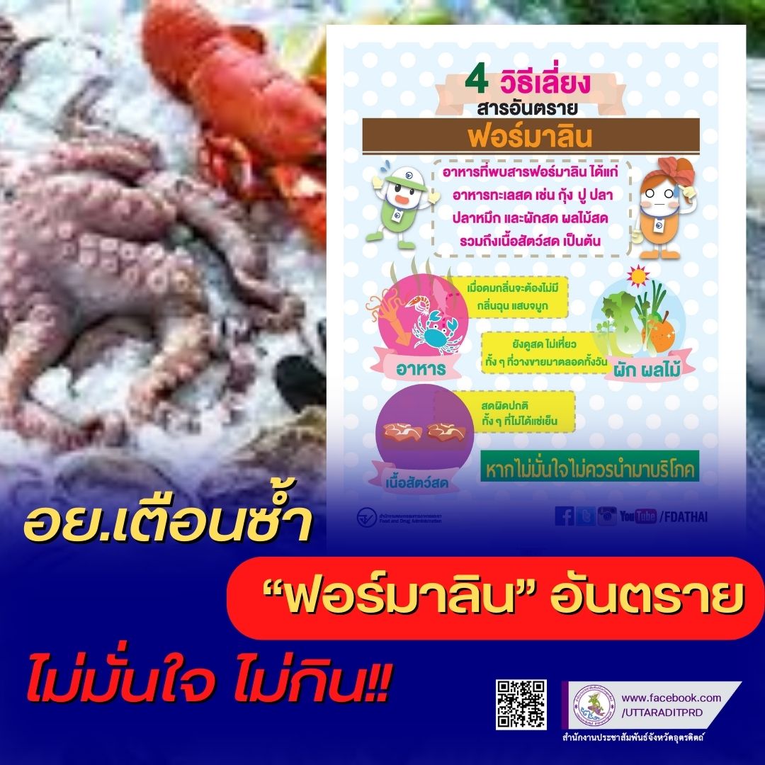รูปภาพหน้าปก e06d0b3e-a76e-4f2e-8635-8e8b93c03137