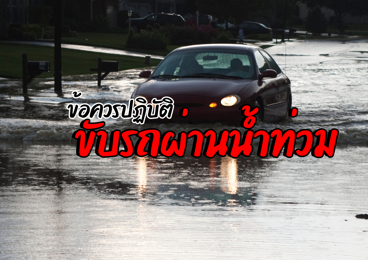 รูปภาพหน้าปก 441e5e03-8efc-4660-915b-a1fbddc32c13