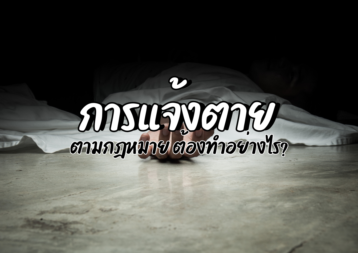รูปภาพหน้าปก 771c7f89-a35a-4ffd-ade4-8823fbf39ed7