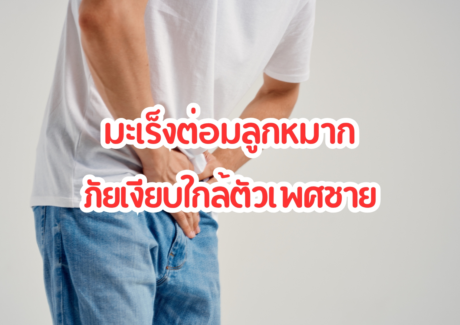 รูปภาพหน้าปก 4bd5f6b0-b75d-4796-87a0-9996780ddce1