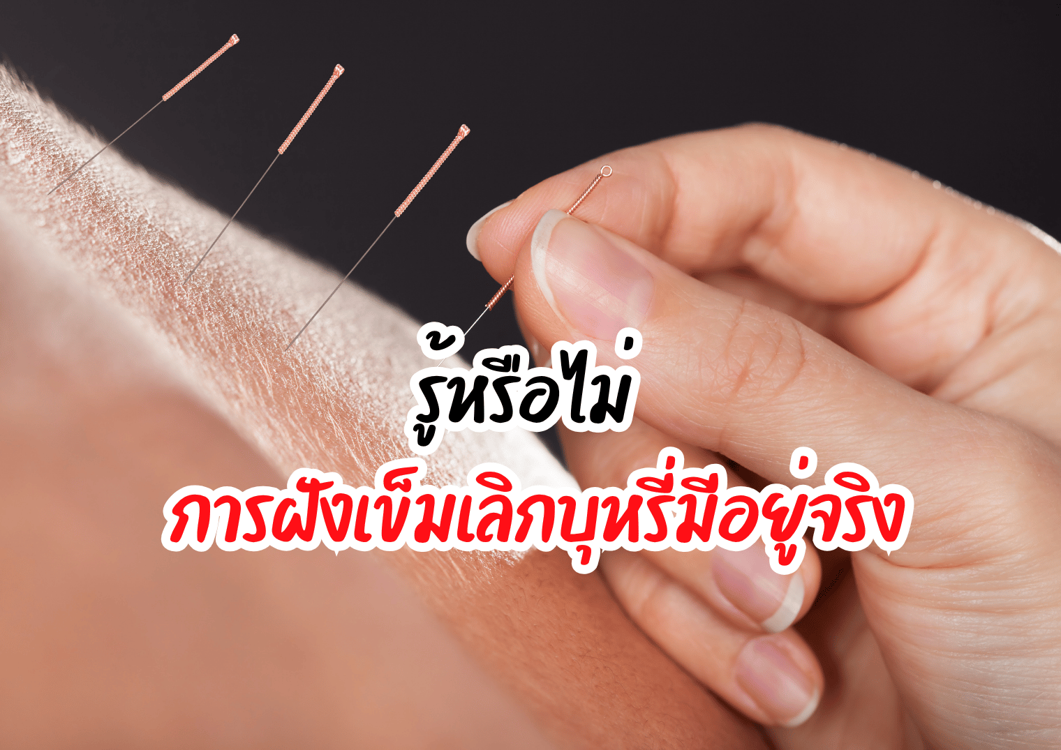 รูปภาพหน้าปก 281616f0-cfd0-4bf2-81c1-84f2812e64c0