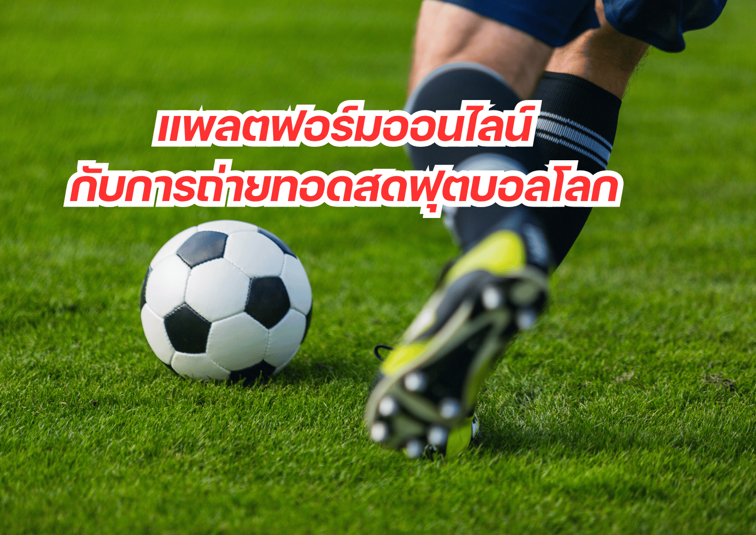 รูปภาพหน้าปก 6ad520ac-bcf3-42fc-8a1d-b8d65d48745d