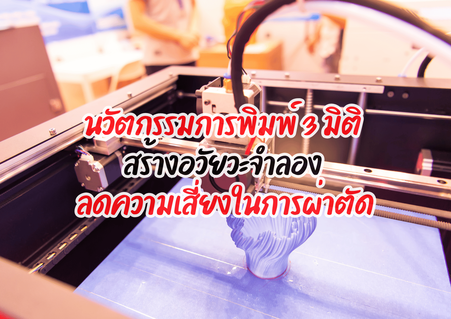 รูปภาพหน้าปก fd74f989-d4fa-40c3-a89c-7a770a3cac86