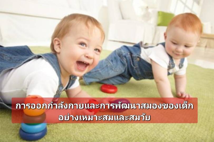 รูปภาพหน้าปก a6546457-814b-4a37-ac9c-6a9f25a4ab0f