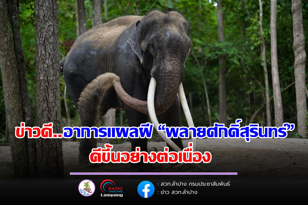 รูปภาพหน้าปก e0d46f48-1799-4645-9267-4ea7330c57b2