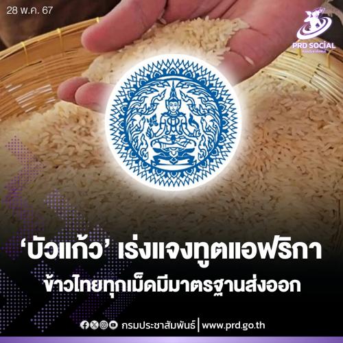 รูปภาพหน้าปก f7ce8463-35ee-4271-9caf-81667b790e2a