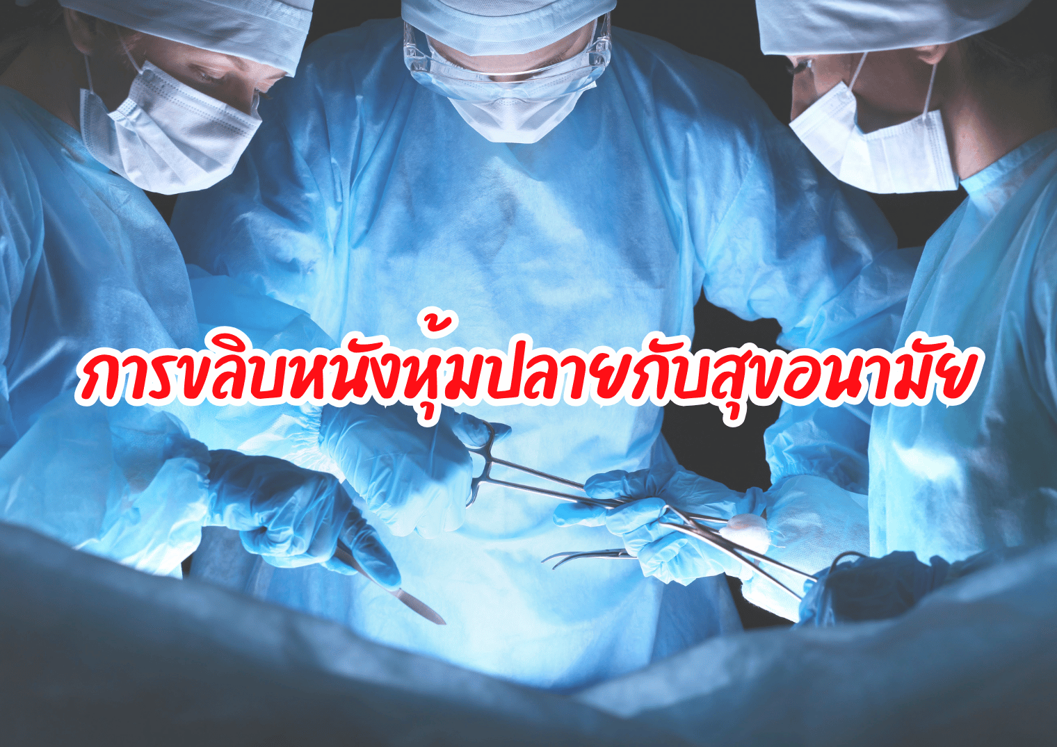 รูปภาพหน้าปก 2cc5db4a-c972-4e7c-9da8-b265d75f6f8c