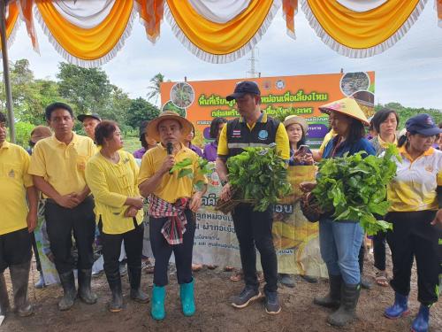 รูปภาพหน้าปก f4f3a3f2-9775-4239-9dea-8082903513ff