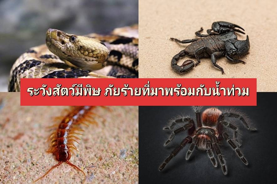 รูปภาพหน้าปก 450e3c88-1359-4574-a364-ca21072173fd