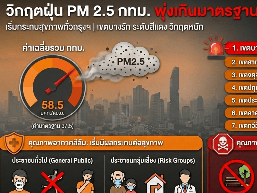 รูปภาพหน้าปก 080ca7f9-7fa5-4a11-b27b-59d36b1dcc72