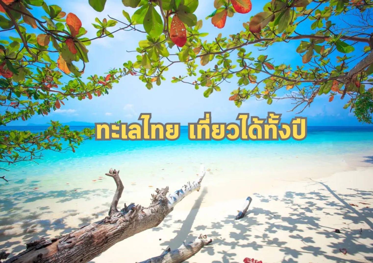 รูปภาพหน้าปก 011db218-df1f-4850-bd54-093e13036ab1