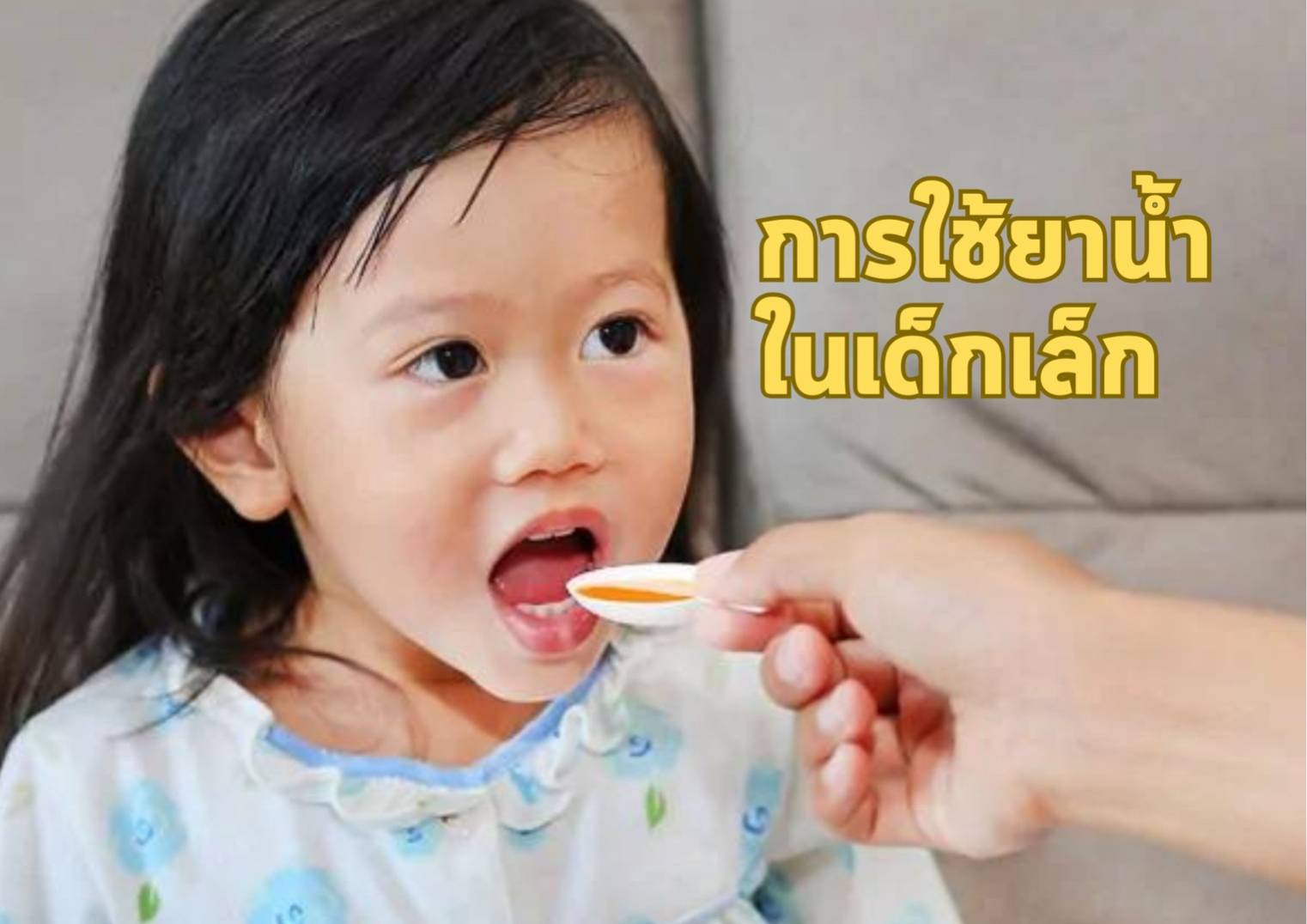 รูปภาพหน้าปก 46746738-0cc2-4e6a-9824-c83e2fd6fa42
