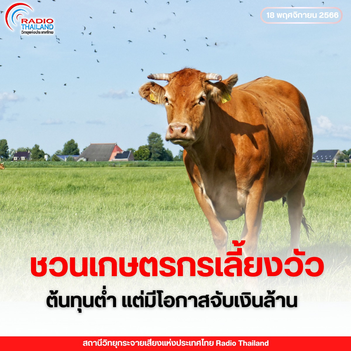 รูปภาพหน้าปก 8d7ea85e-628d-40f4-9910-f8b16f436bcf