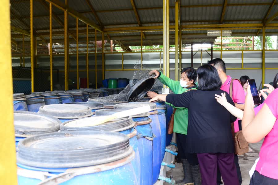 รูปภาพหน้าปก df5bc7d4-4ba2-40b0-94e9-d224b1ebb76c