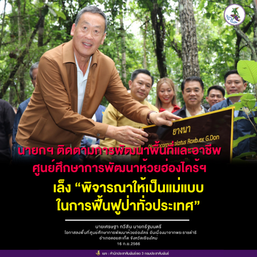 รูปภาพหน้าปก 43c061c9-cf0e-45b6-9979-9d9884315b73
