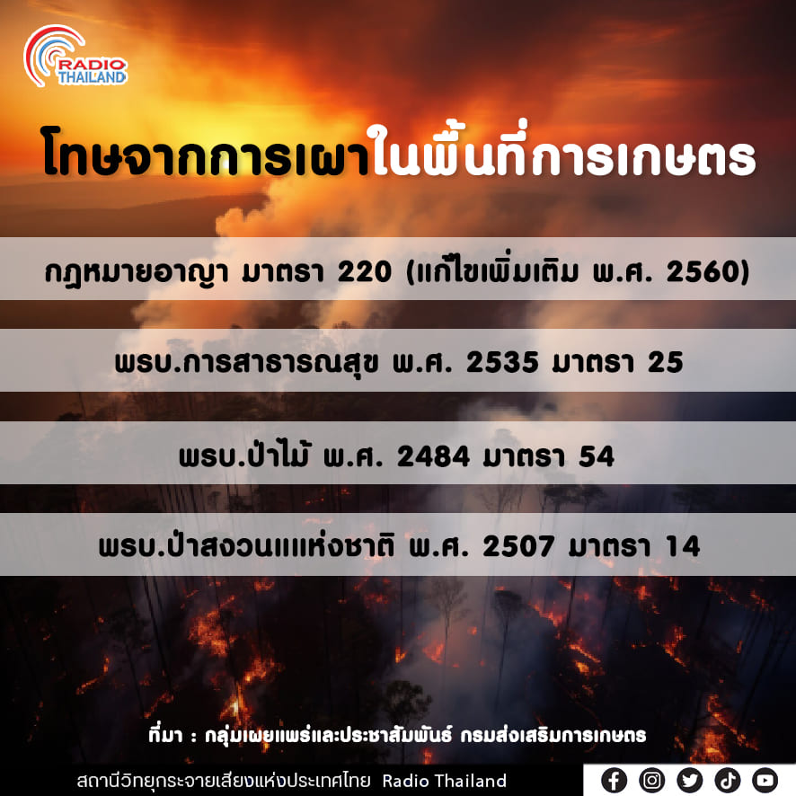 รูปภาพหน้าปก 2b9f41c2-3942-4940-a5d6-0caa15dcecaf