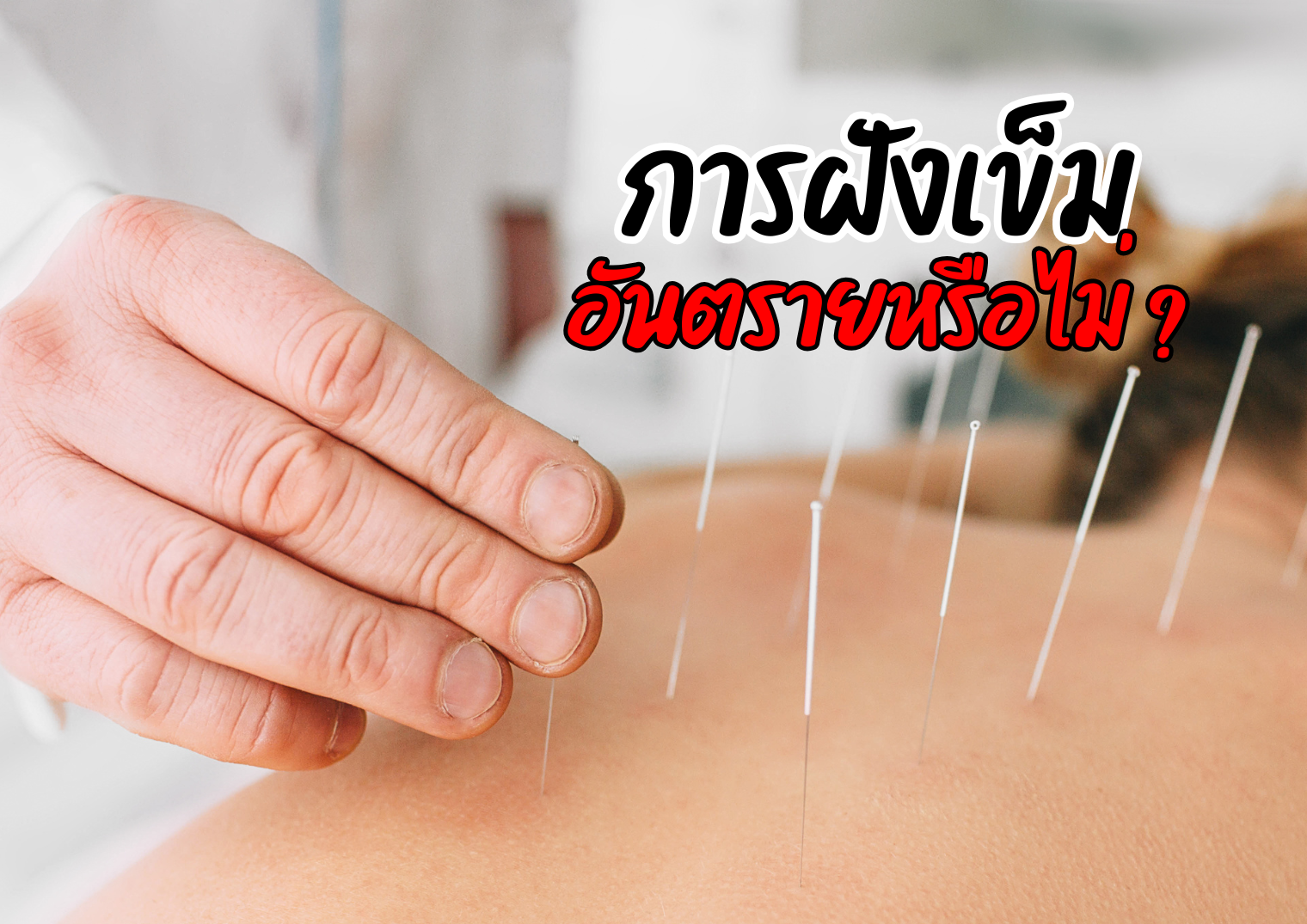 รูปภาพหน้าปก cde3cc71-5b84-4be7-a966-ef9dd03f06e2
