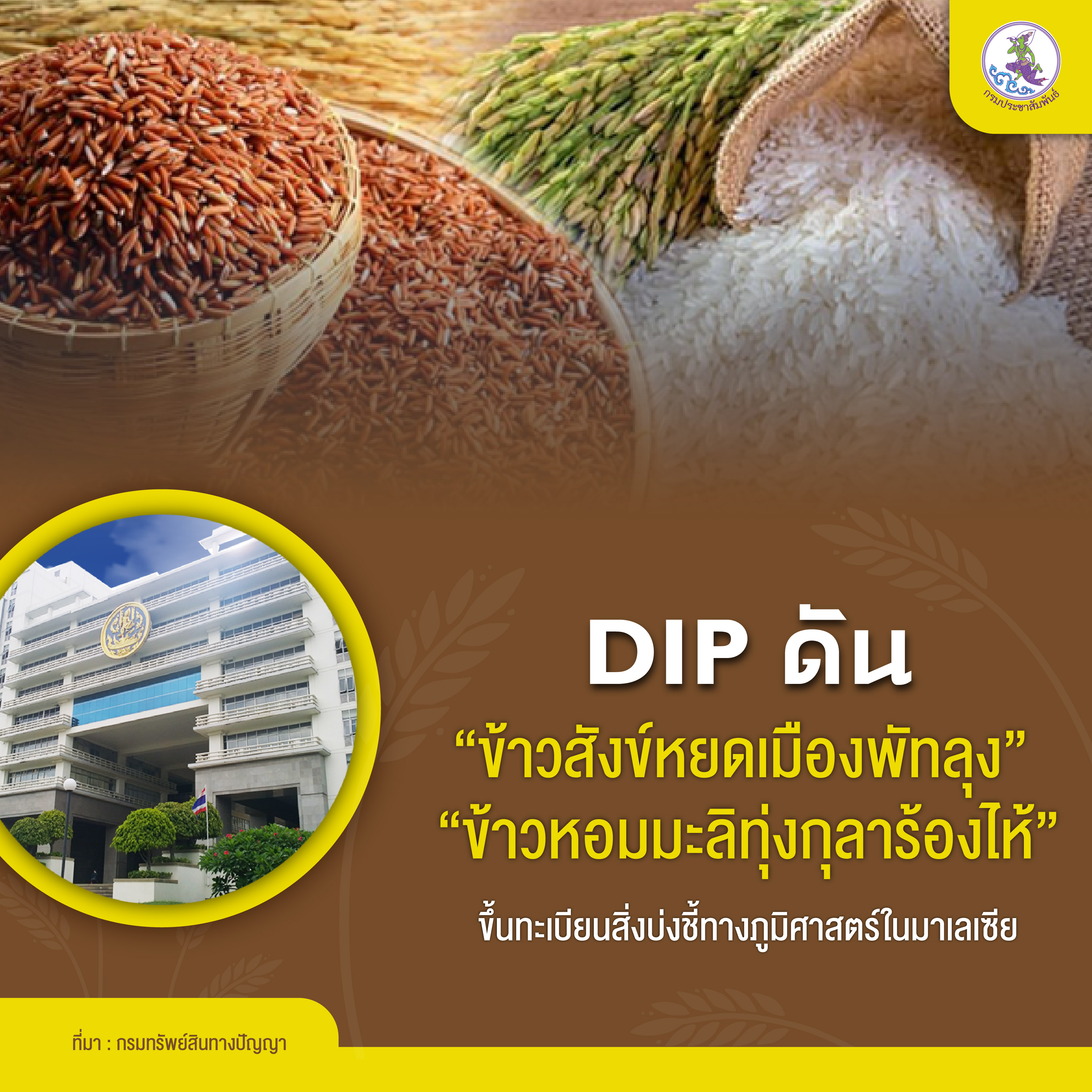 รูปภาพหน้าปก 0e818419-c83c-4d60-874c-88c5b9cf07ff
