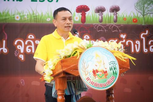 รูปภาพหน้าปก 44c1e0ef-3dc3-41b2-aba4-3ef838d1ac7b