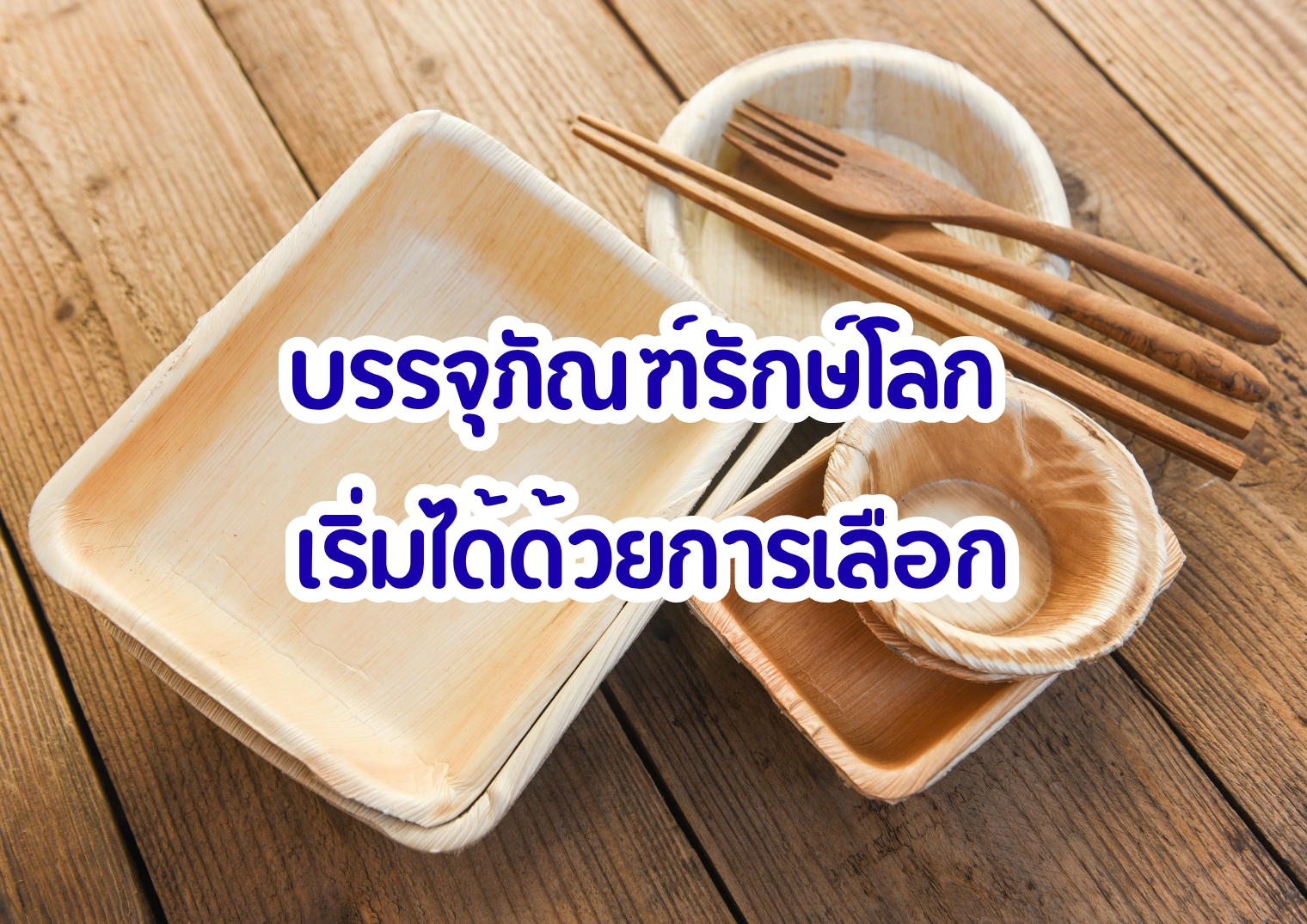 รูปภาพหน้าปก 89804245-7241-43f4-876f-8b17b0863e5e