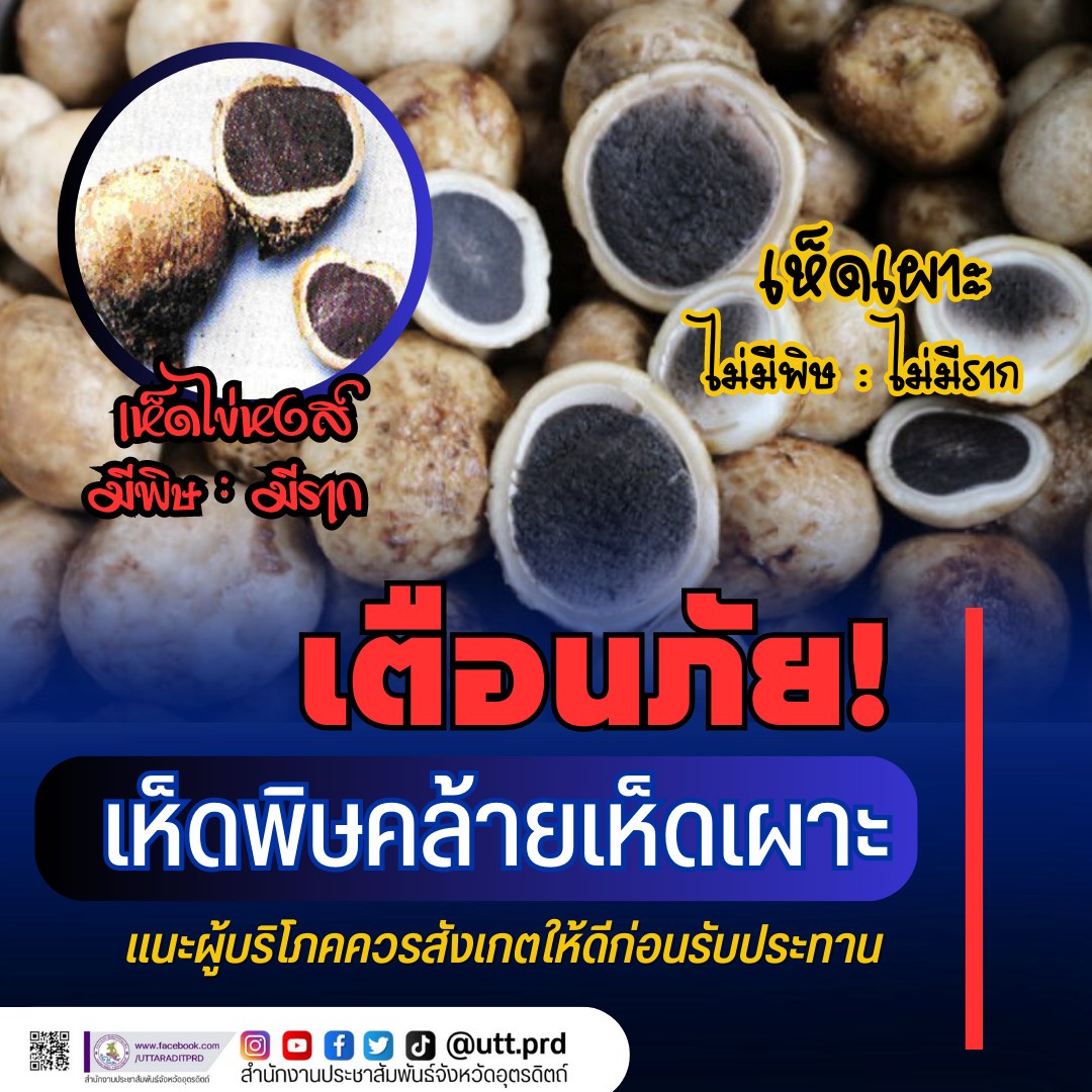 รูปภาพหน้าปก 84c89922-6e02-4821-b438-09c327b480ce