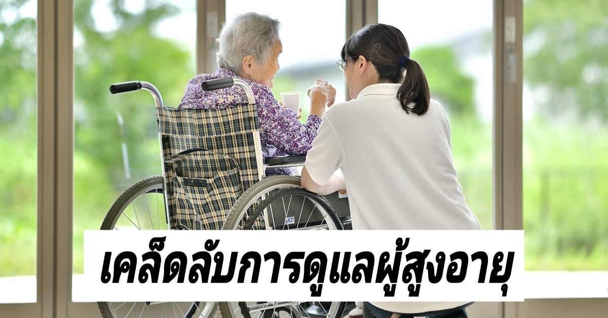 รูปภาพหน้าปก 9ddcb1a7-a145-4501-9ade-22b18a918c44