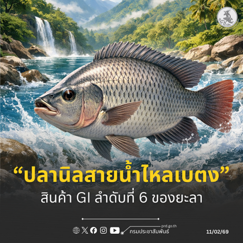 รูปภาพหน้าปก d40b3d82-6b6e-471a-b0e6-b7a84cef7fe3
