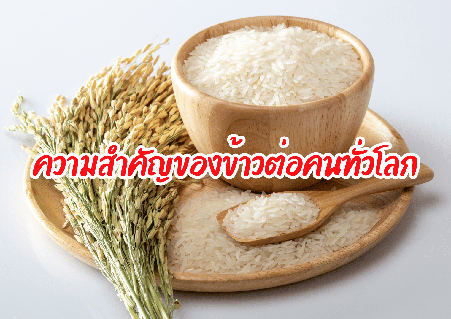 รูปภาพหน้าปก e655c8b0-4755-4e61-8cf7-46eabf4861a2