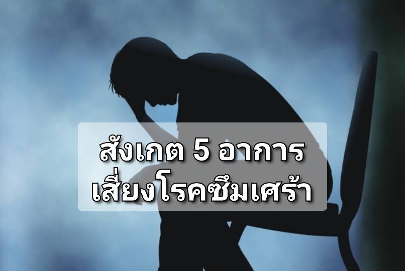 รูปภาพหน้าปก 08b42a88-5acd-411c-8094-2440660bf821