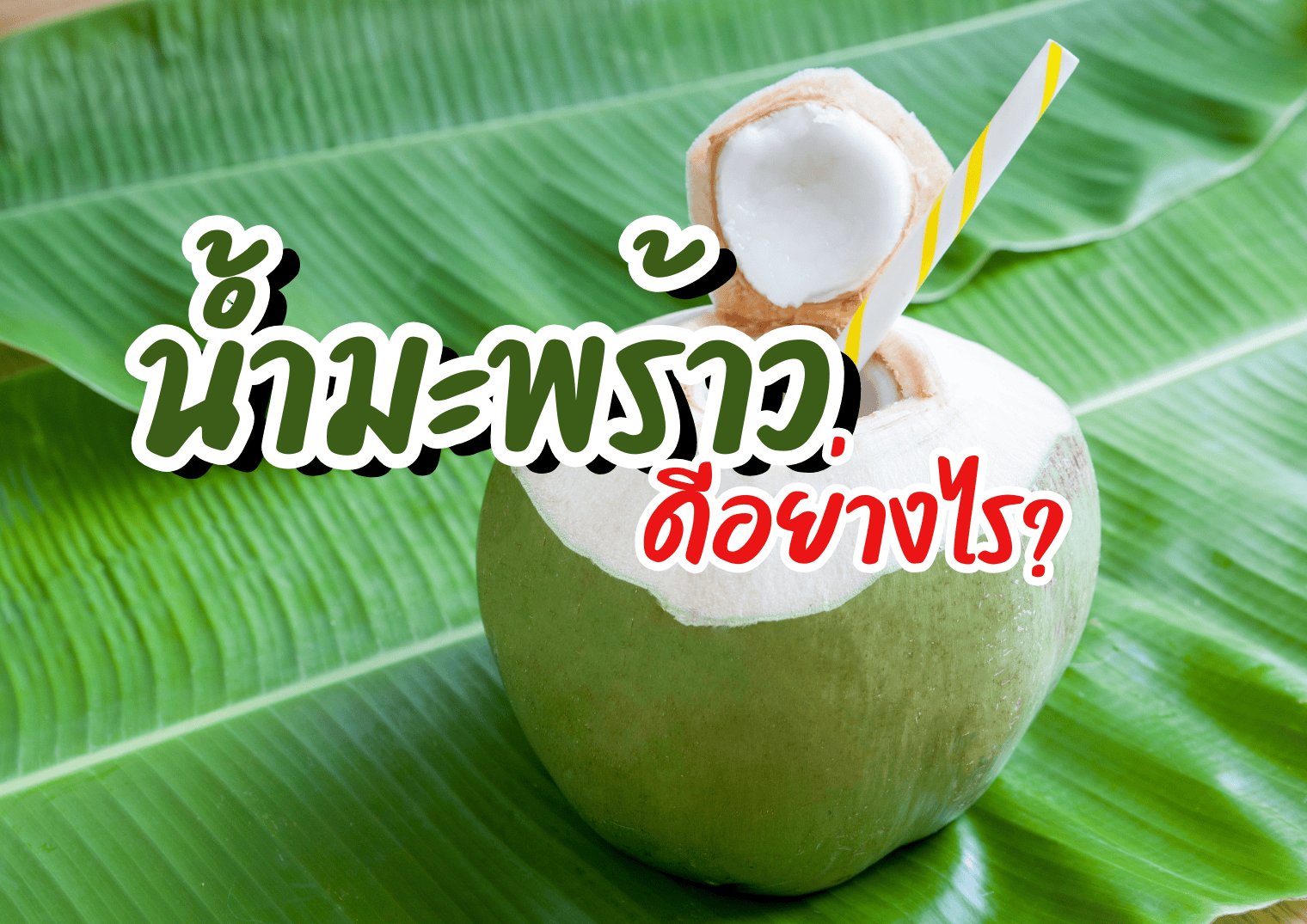 รูปภาพหน้าปก 739fc333-2262-4c18-87f1-f48df6aa5fbf