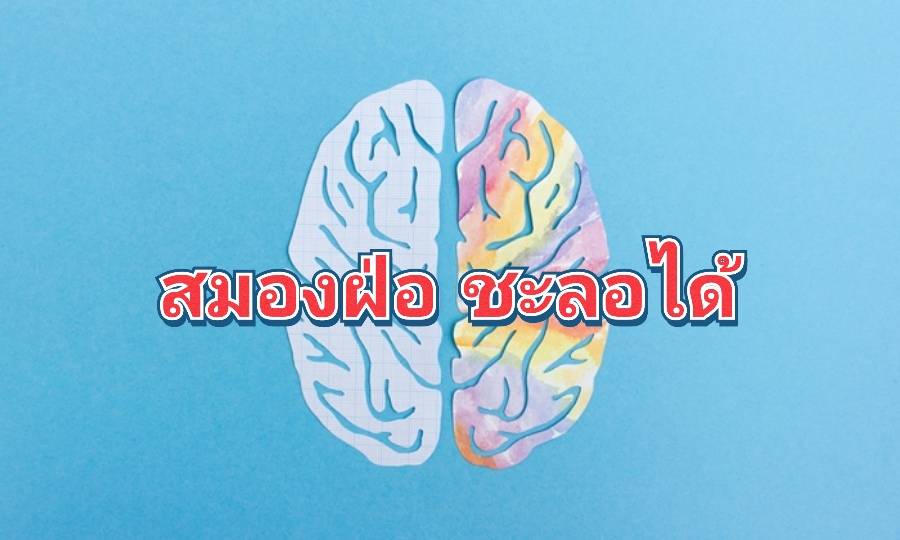 รูปภาพหน้าปก 3ea92333-d660-48c2-a927-befc8668096b