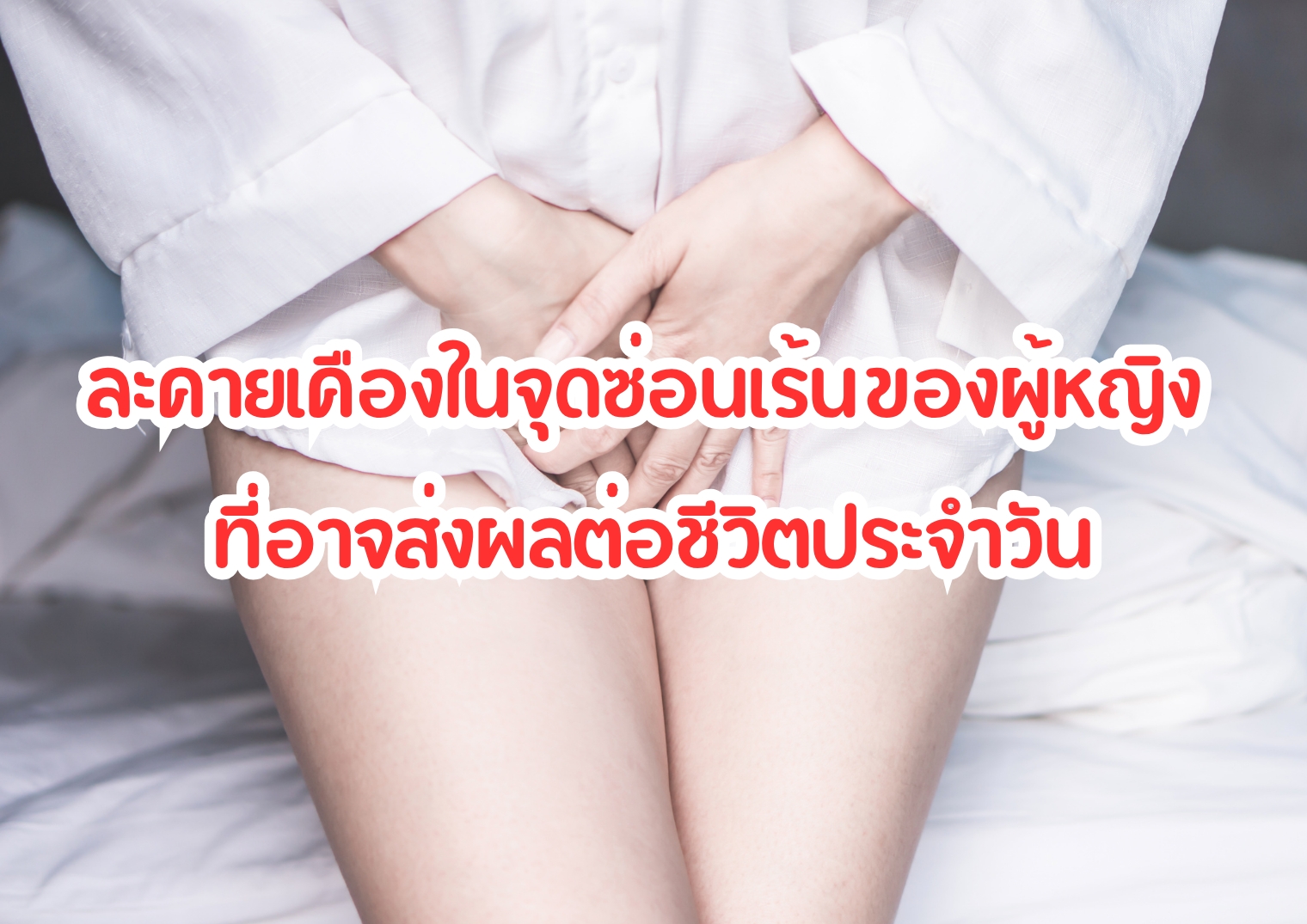 รูปภาพหน้าปก 87281242-17f8-48bb-9796-b4f4682547aa