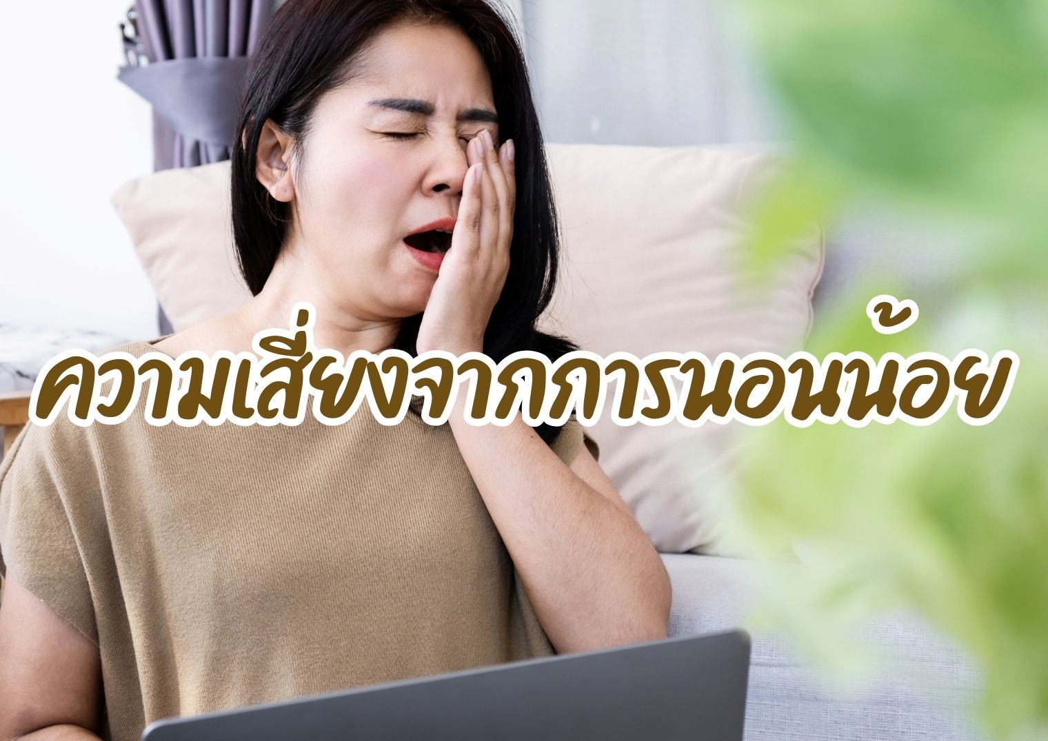 รูปภาพหน้าปก 473c8b28-6ccd-4533-8755-bdf62f62da51