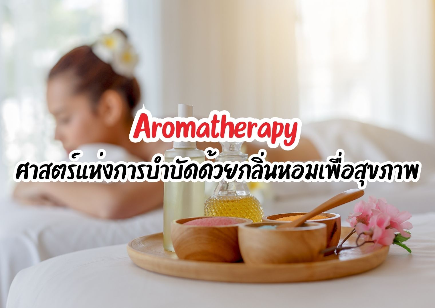 รูปภาพหน้าปก c96325c0-3963-41d4-b926-b4dedfd0f25f