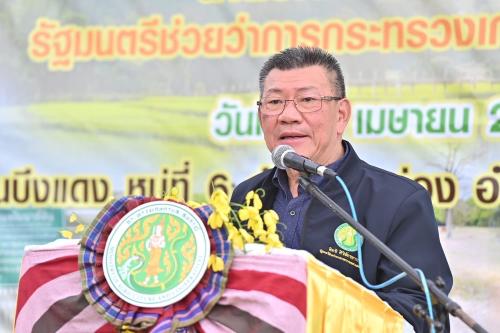 รูปภาพหน้าปก b3fcd612-099d-449a-be7e-93cd204e329d