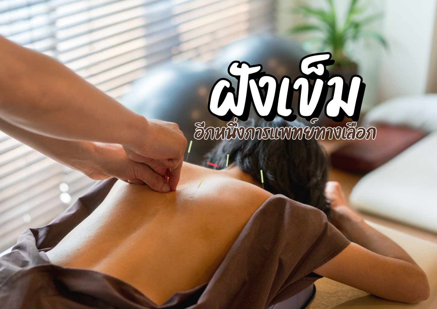 รูปภาพหน้าปก af3e8ab7-aff2-4ee1-8465-e41c81e10ee3