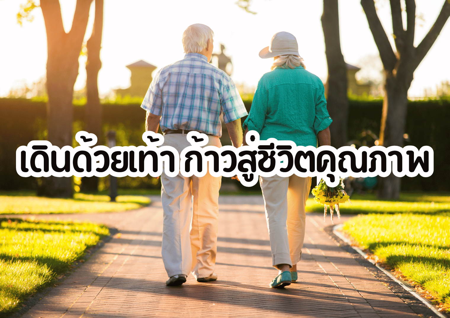 รูปภาพหน้าปก 87722552-edf1-46e5-835c-e9e3ab6b0e3b