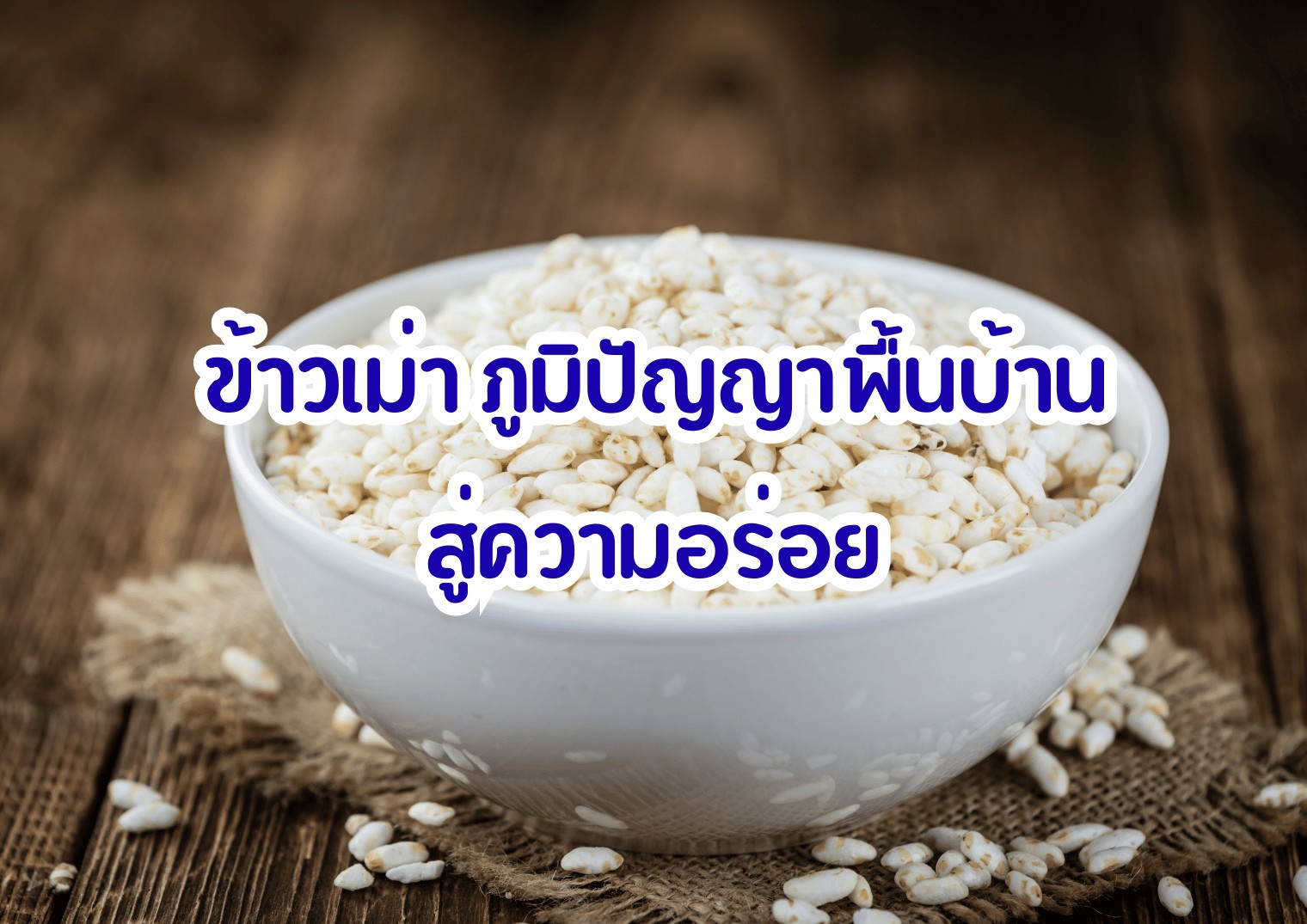 รูปภาพหน้าปก fc941683-b616-4987-b3cb-6ec27217d643