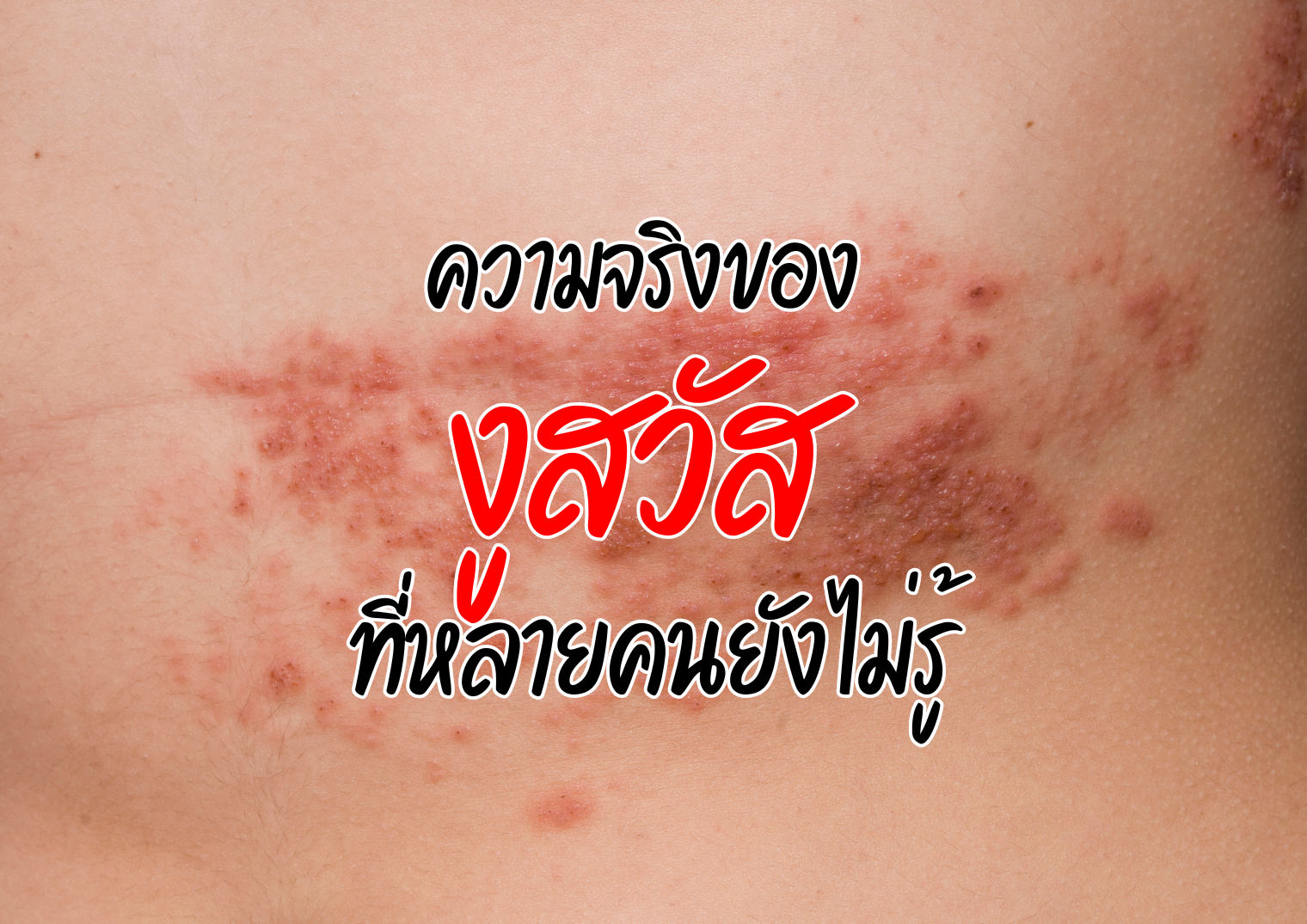 รูปภาพหน้าปก be24b7e2-2677-43fa-8c69-3fab6e32d065