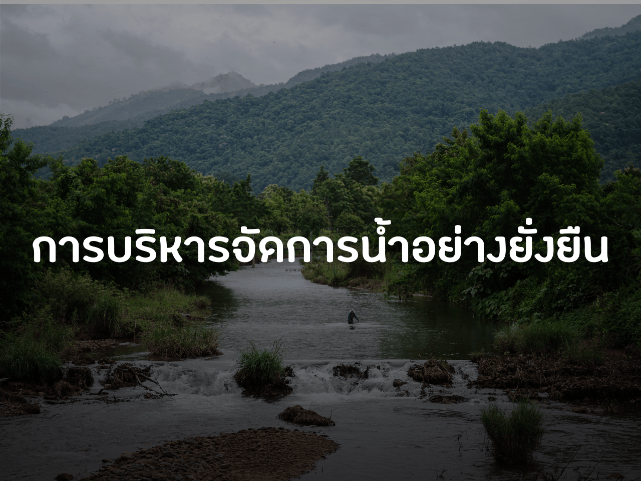 รูปภาพหน้าปก 79cd9d5e-8e2b-414c-8a0d-dbaeef8848bd