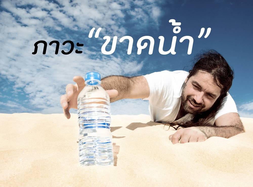 รูปภาพหน้าปก 76ef428f-6a0c-4b25-a289-d96aefbc083e