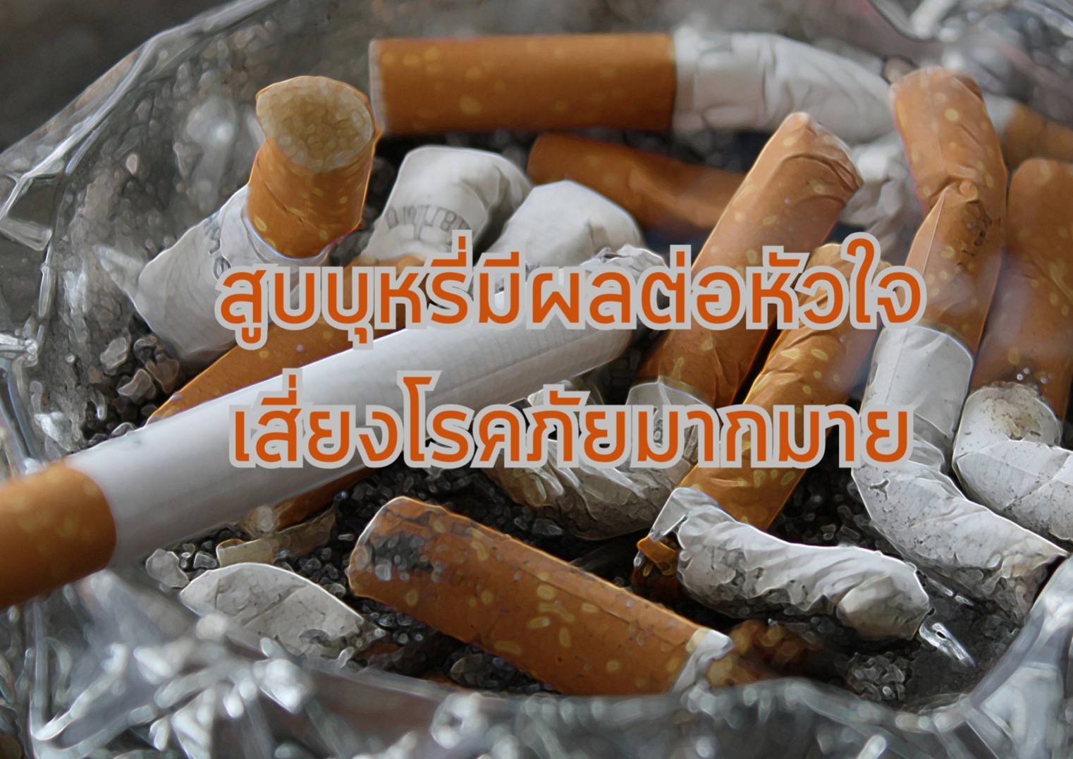 รูปภาพหน้าปก f2cb3526-df5e-4811-823f-0a817f6fd0fe