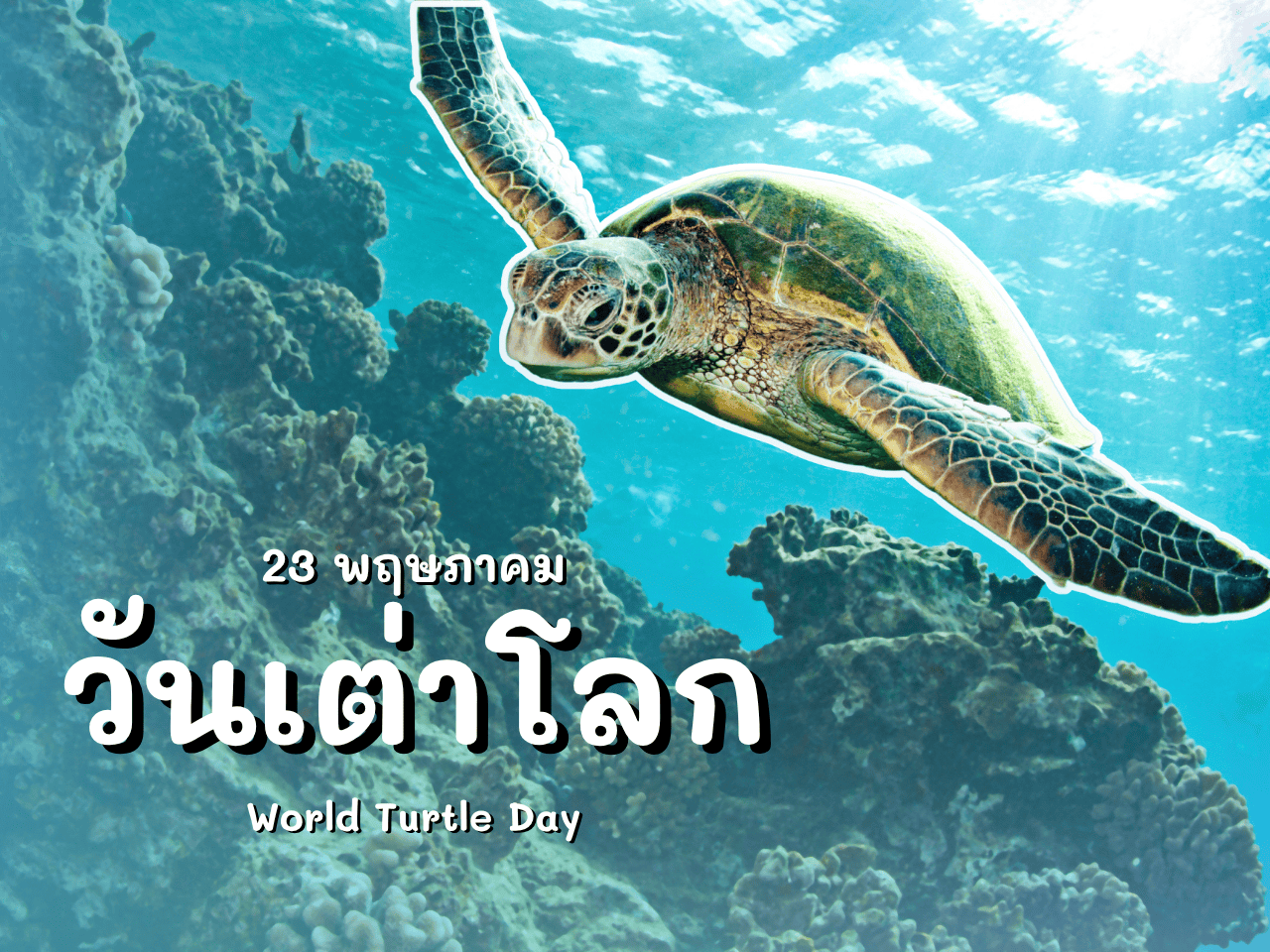 รูปภาพหน้าปก ecd3192f-22b6-4abc-a7f4-6f67f21308fd