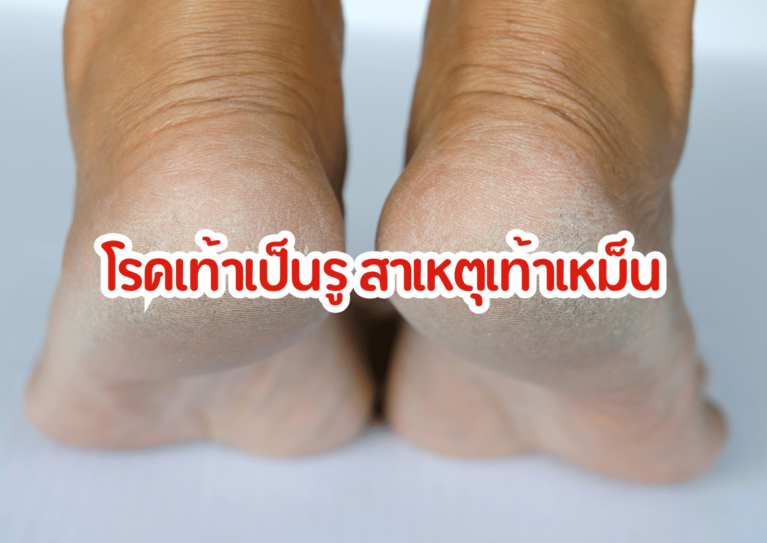 รูปภาพหน้าปก 49e54e62-ba58-42a8-a95c-a46e8e880969